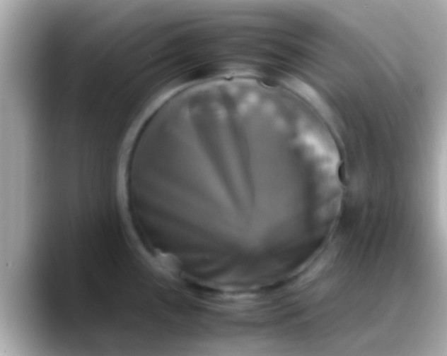 X0000088481243200706051355