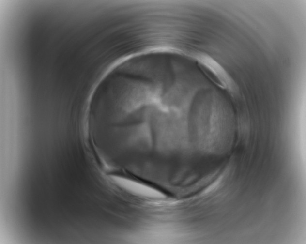 X0000088481244200706051355