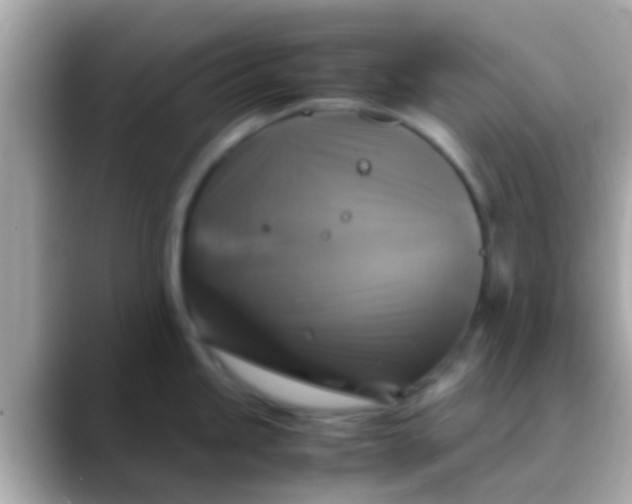 X0000088481245200706051355