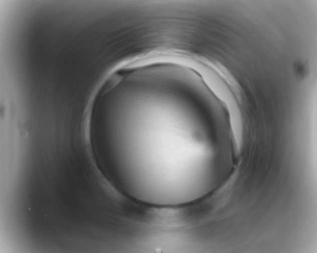 X0000088481246200706051355