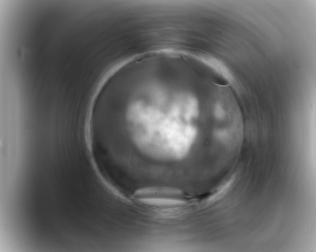 X0000088481247200706051355