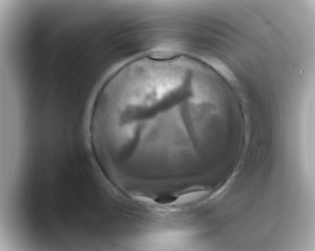 X0000088481248200706051355