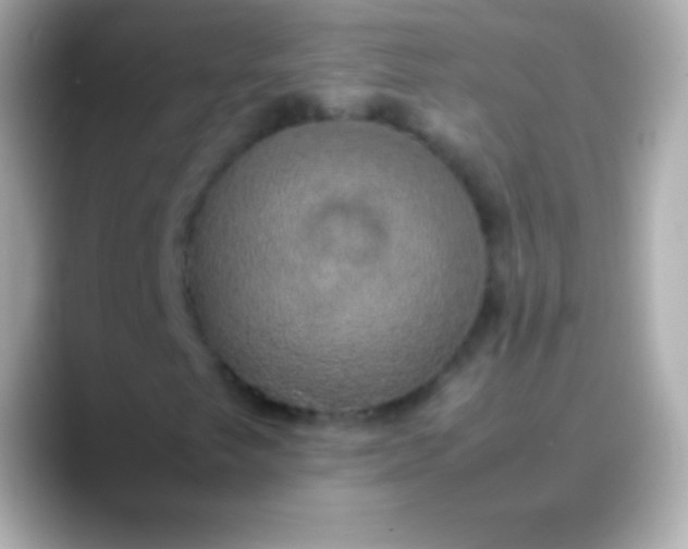 X0000088481249200706051354