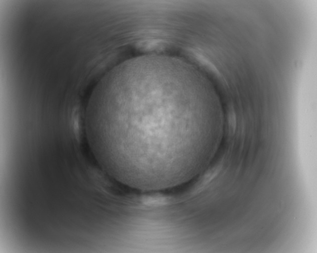 X0000088481250200706051354