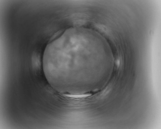 X0000088481252200706051354