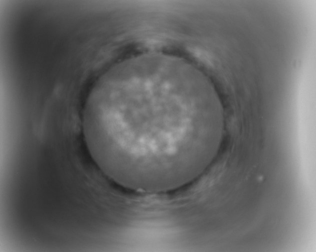X0000088481253200706051354
