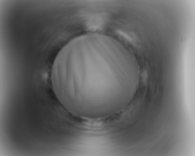 X0000088481254200706051354