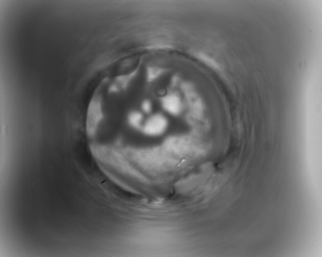 X0000088481255200706051354