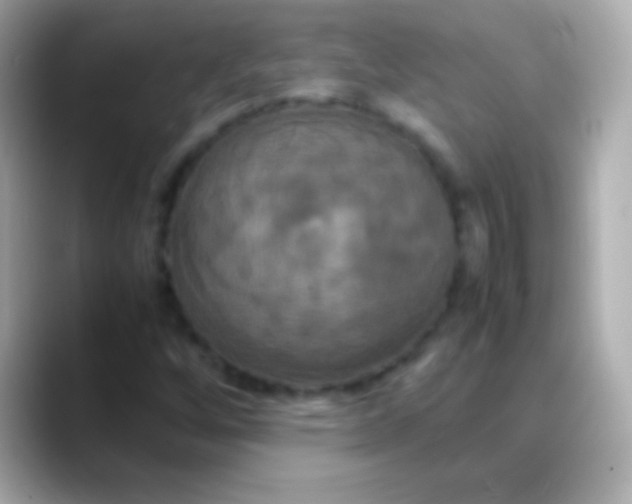 X0000088481256200706051354