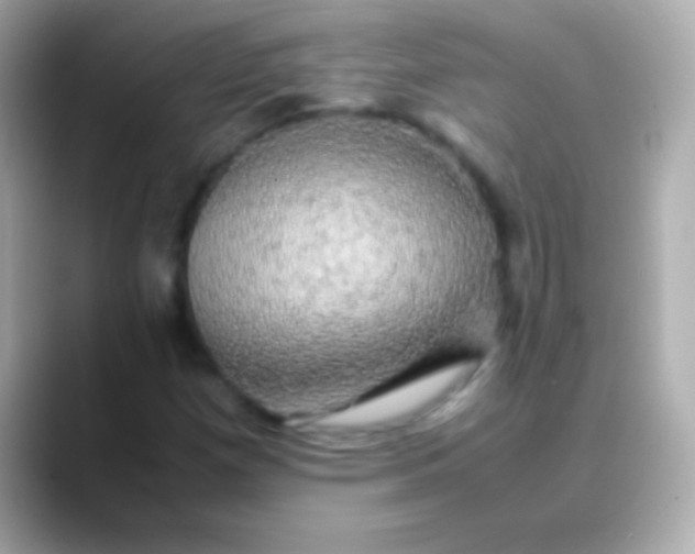 X0000088481257200706051354
