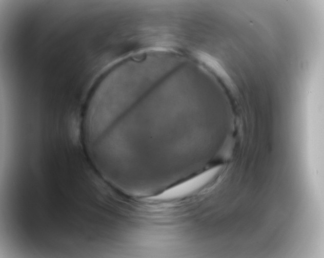 X0000088481260200706051354