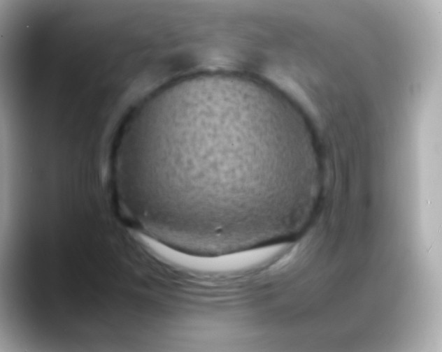 X0000088481261200706051354