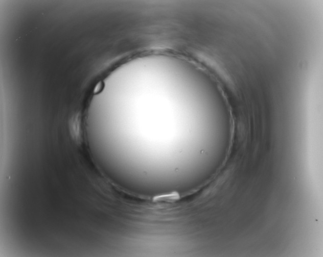 X0000088481262200706051354