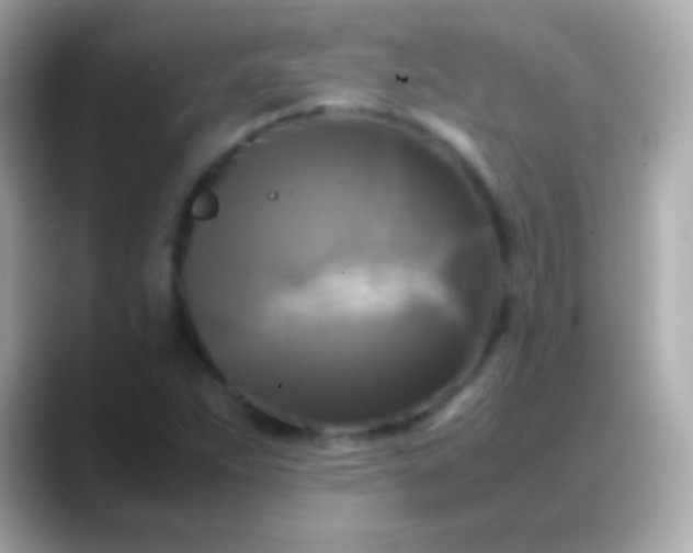 X0000088481263200706051354