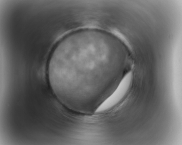 X0000088481264200706051354