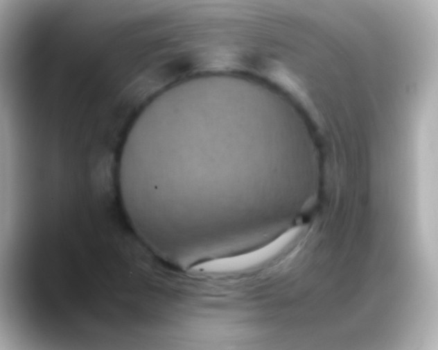 X0000088481265200706051354