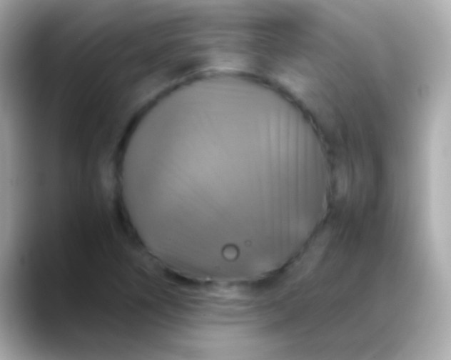 X0000088481266200706051354