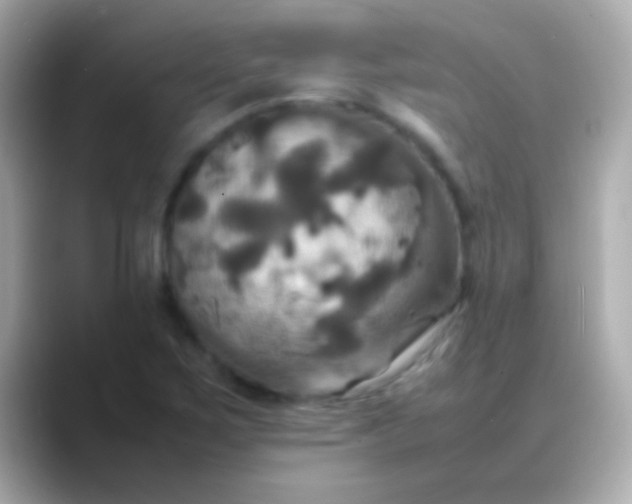 X0000088481267200706051354