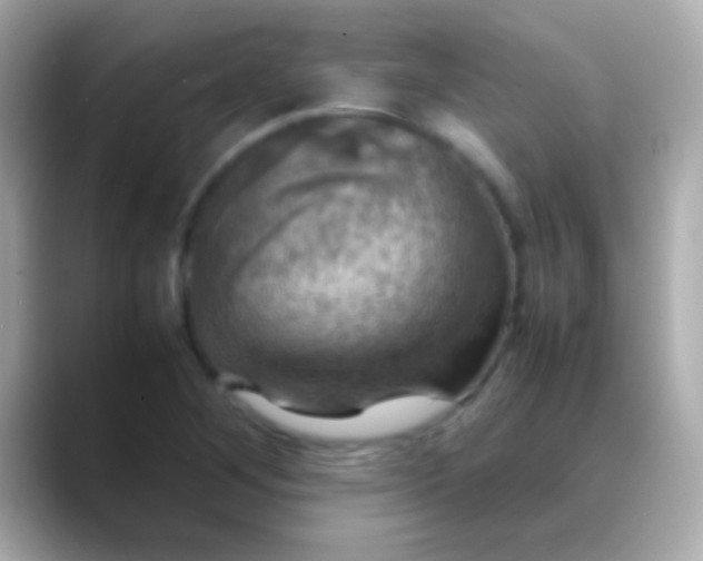X0000088481268200706051354