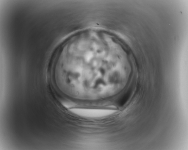 X0000088481271200706051354
