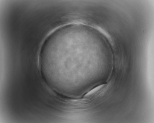 X0000088481272200706051354