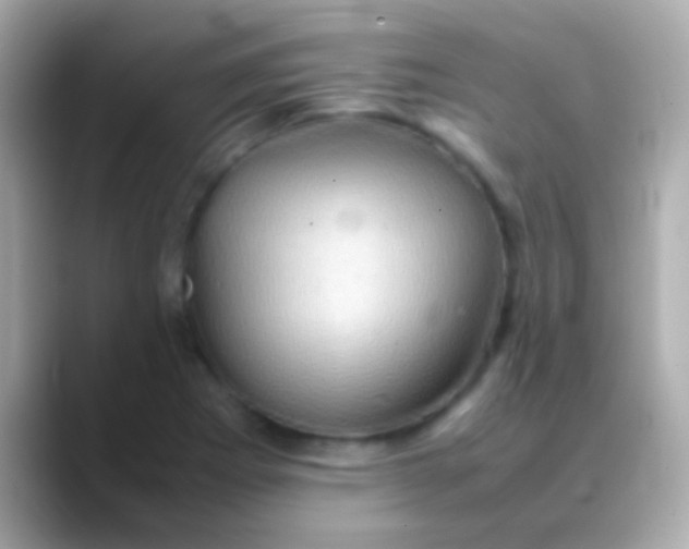 X0000088481273200706051354