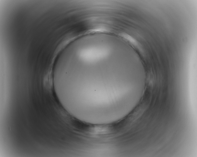 X0000088481274200706051354