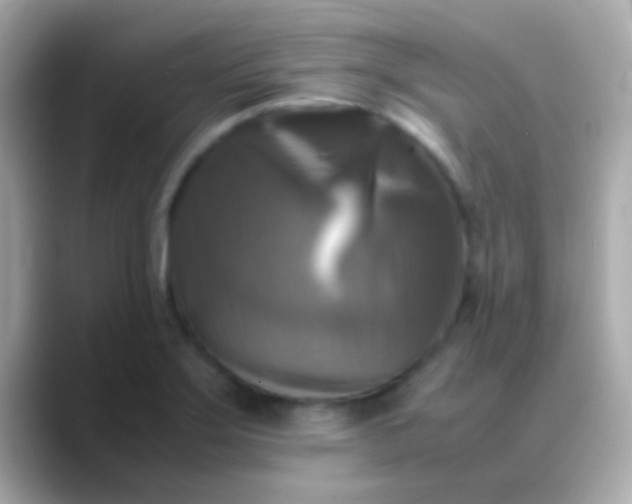 X0000088481275200706051354