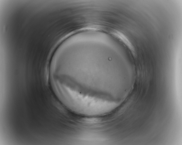 X0000088481276200706051354