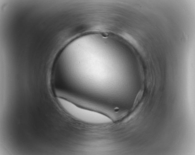 X0000088481277200706051354