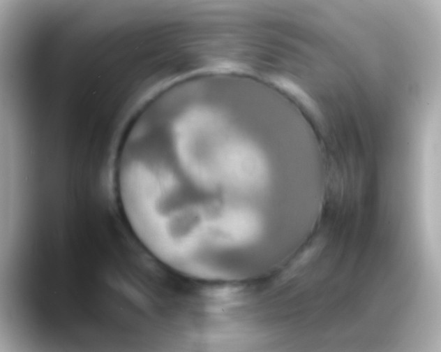 X0000088481278200706051354