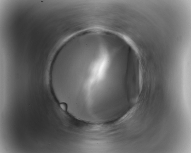 X0000088481279200706051354