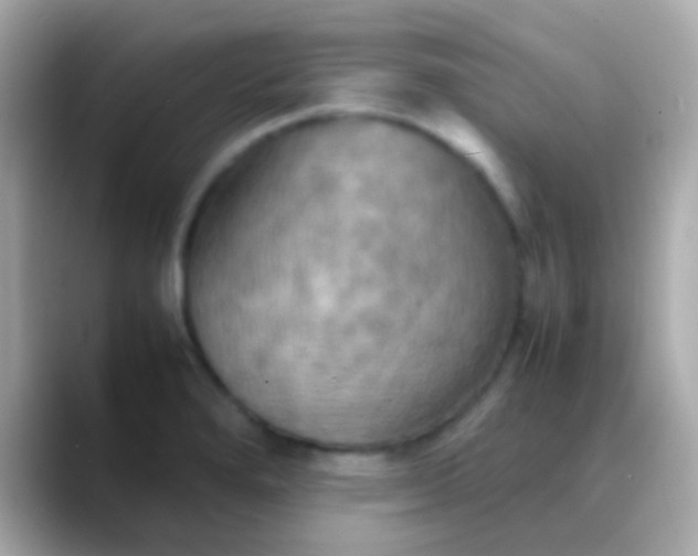 X0000088481280200706051354