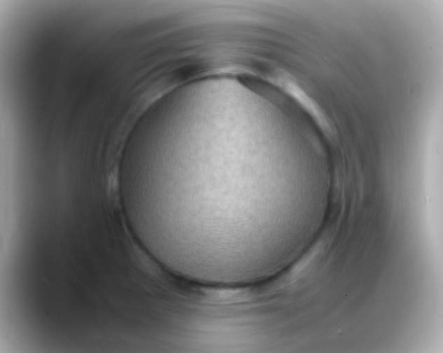 X0000088481281200706051354