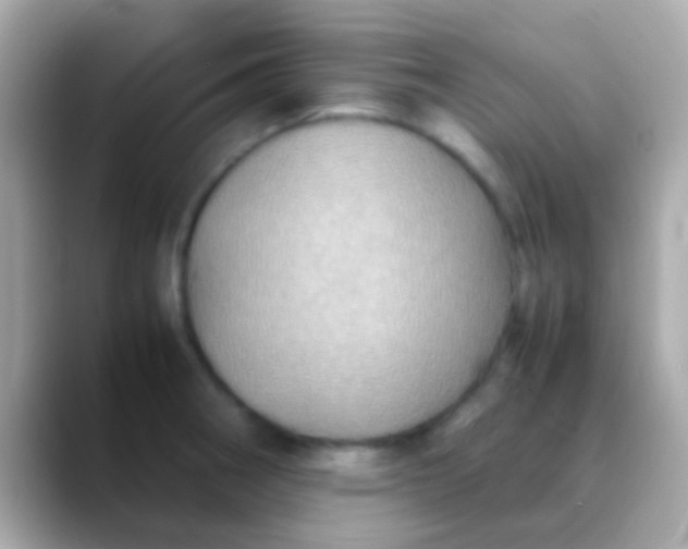 X0000088481282200706051354