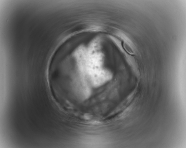 X0000088481283200706051354