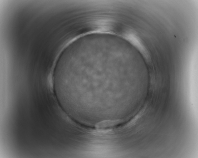 X0000088481284200706051354