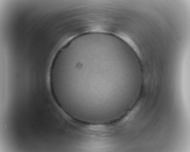 X0000088481285200706051354