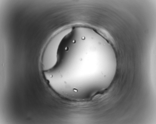 X0000088481287200706051354
