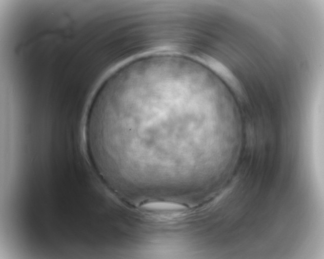 X0000088481288200706051354