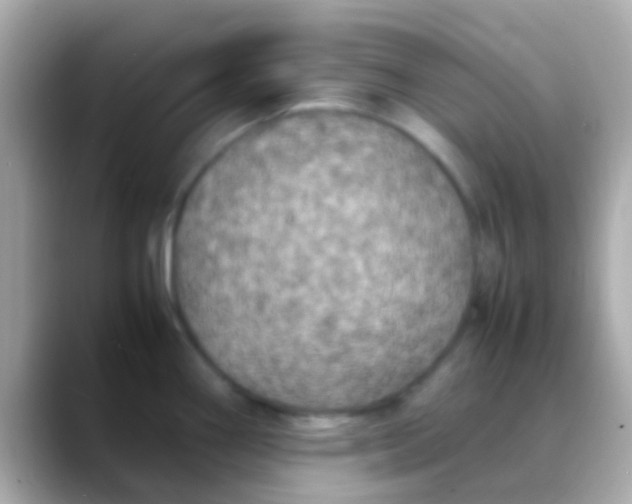 X0000088481290200706051354