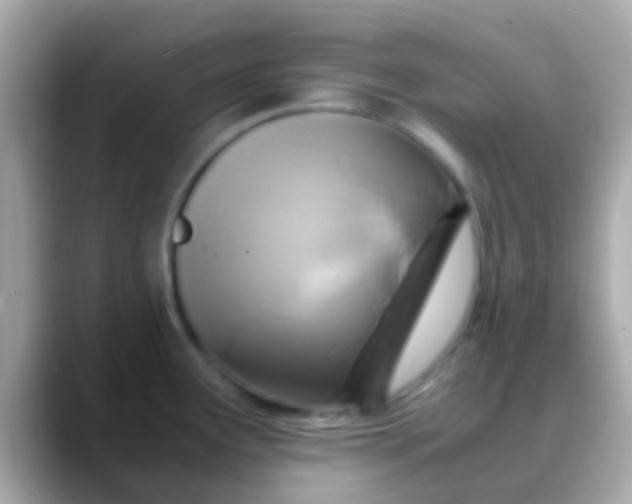 X0000088481291200706051354
