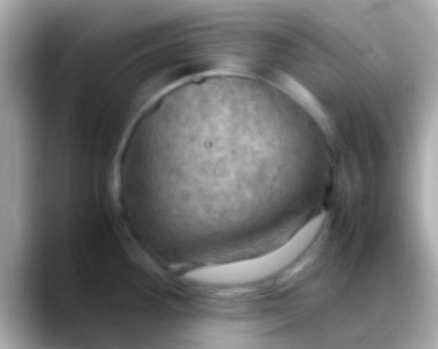 X0000088481292200706051354
