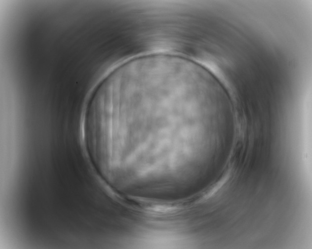X0000088481294200706051354