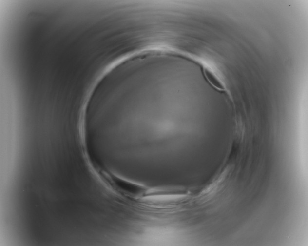 X0000088481295200706051354