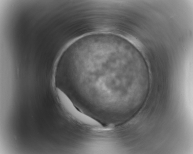 X0000088481296200706051353