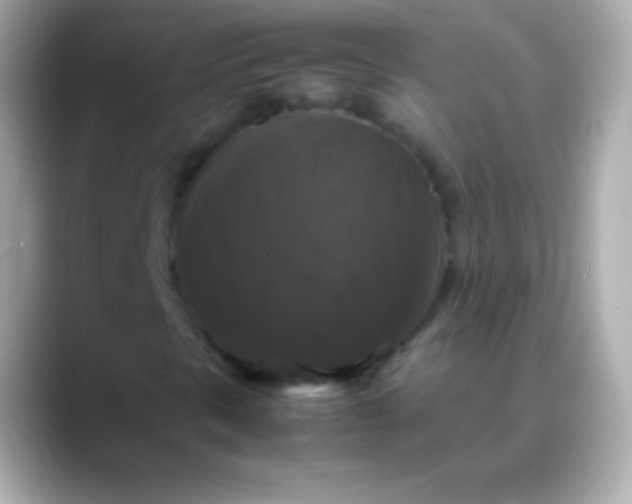 X0000088481297200706051353