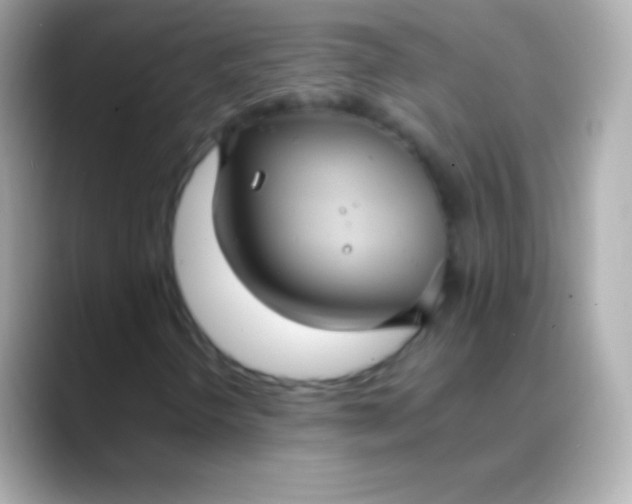 X0000088481298200706051353