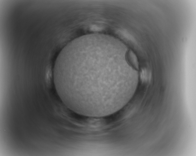 X0000088481299200706051353