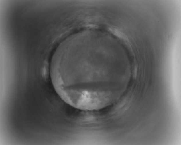 X0000088481301200706051353